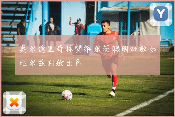 奥尔德里奇称赞维尔茨聪明机敏如比尔兹利般出色