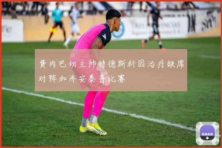 费内巴切主帅特德斯科因治疗缺席对阵加济安泰普比赛