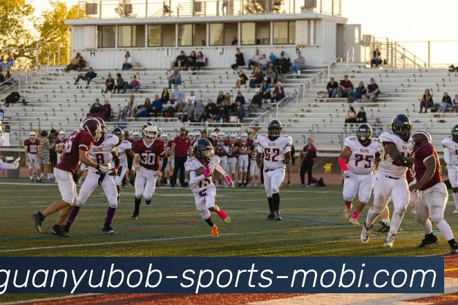 BOB体育发展历程